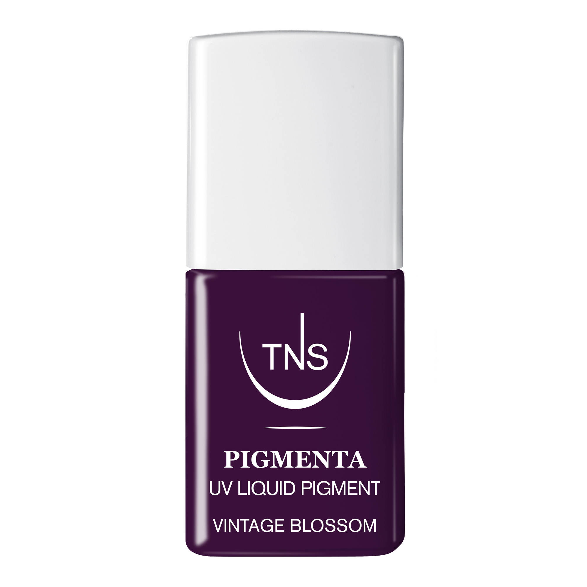 UV Flüssigpigment Vintage Blossom dunkelviolett 10 ml Pigmenta TNS