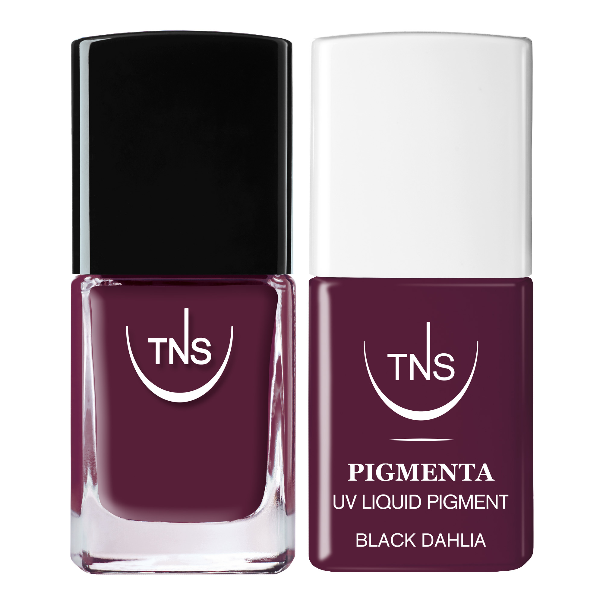 Glam Duo Plum TNS Pigmenta und Nagellack Kit Bordeaux