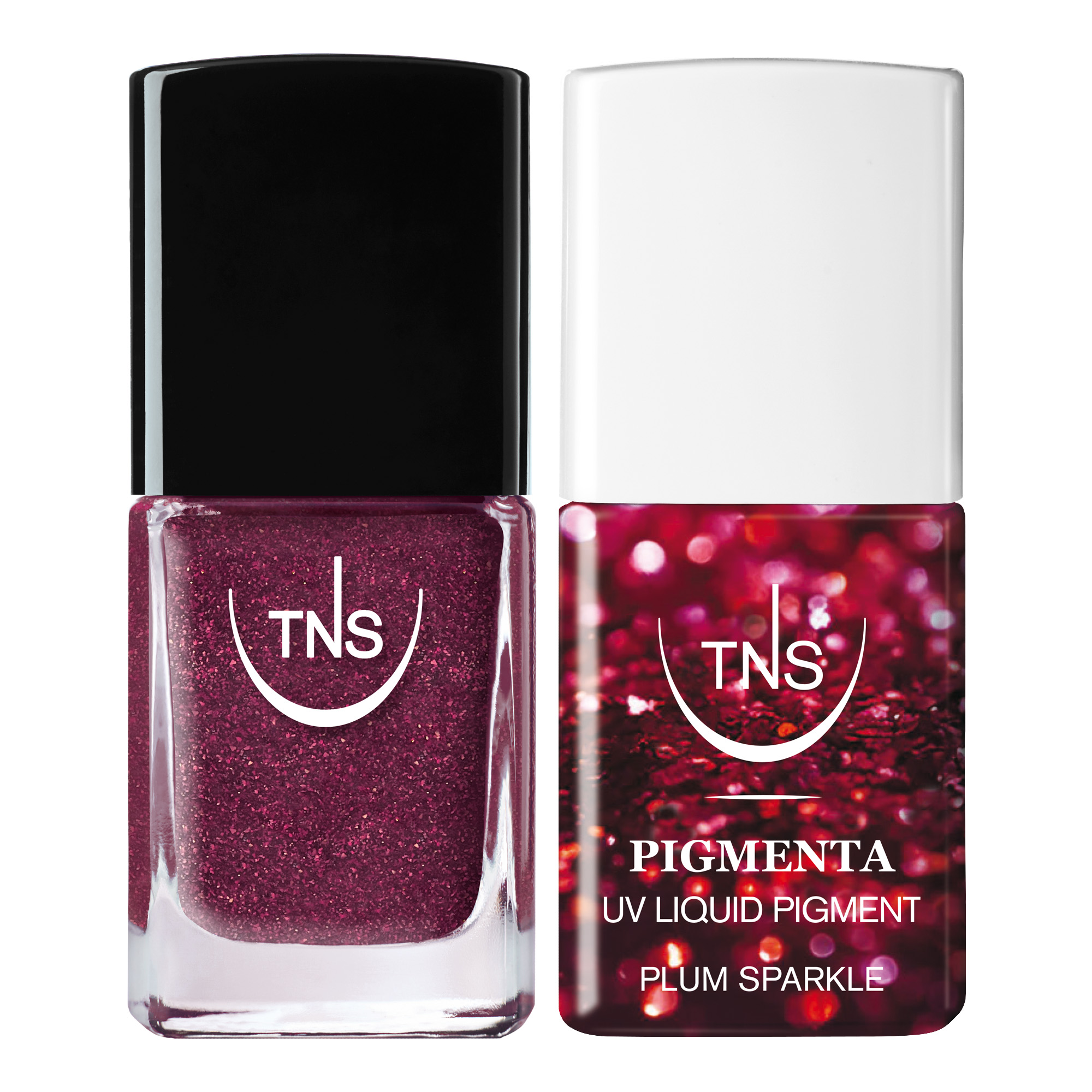 Glam Duo Plum TNS Pigmenta und Nagellack Kit Bordeaux