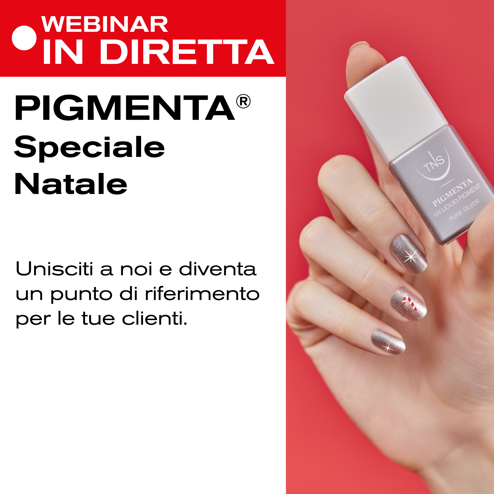 Formazione on line Tecniwork: Dimostrazione in Diretta speciale Natale Nail Art con Pigmenta