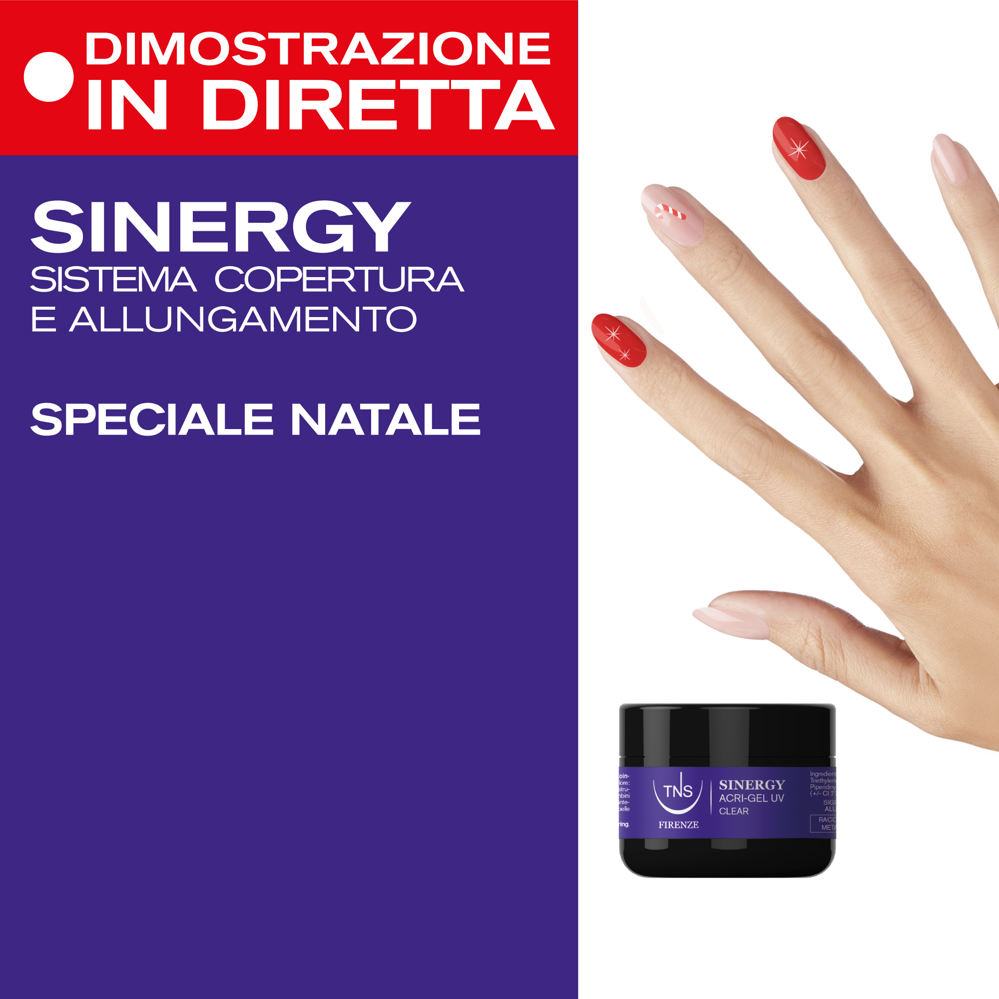 Formazione on line Tecniwork: Dimostrazione in Diretta speciale  Natale Nail Art con Sinergy